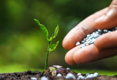 氯化鈀、醋酸鈀、DPPF二氯化鈀、DBA鈀、四三苯基膦鈀等均相催化劑的生產與銷售。